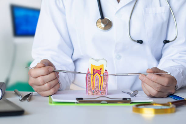 Best Dentist for Severe Toothache  in Oak Hill, WV